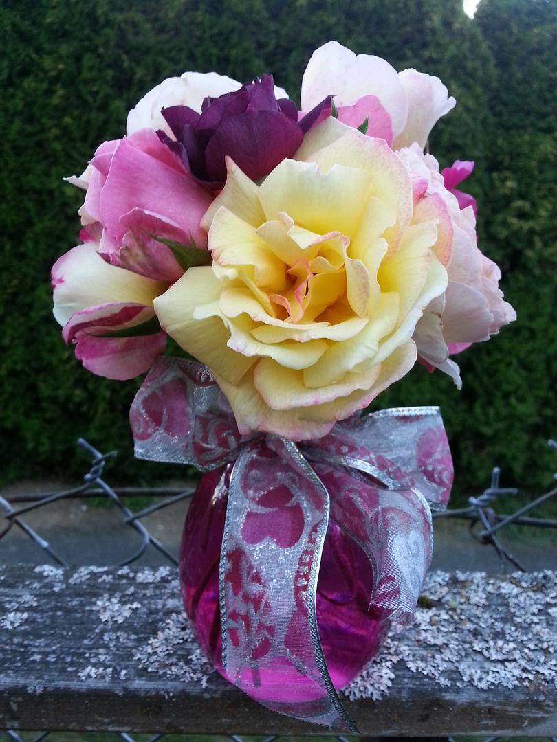  photo 20140907_184657_zpsx2fs1blf.jpg